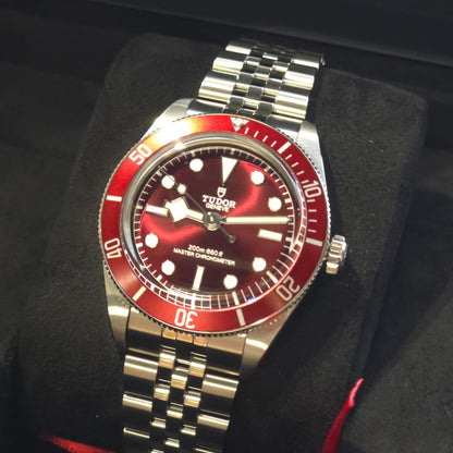 Tudor Black Bay 58 39MM watch Ref. 7939A1A0RU-0001